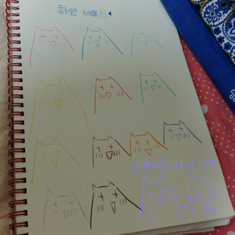 하얀네코님.. : 하얀네코님 위해 바치려고 그린거에요.
ㅎ역시 졸못이다 으악 
못토 못토(좀더 좀더)신경써서 그릴껄
실망하지말아요 하얀네코님 제가 그림을 못그려서 스케치판 ,sketchpan