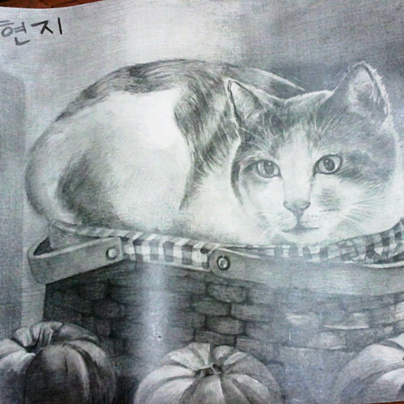 &nbsp; : &nbsp; 스케치판 ,sketchpan