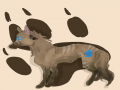 Indian Wol.. : Indian Wolf 스케치판 ,sketchpan