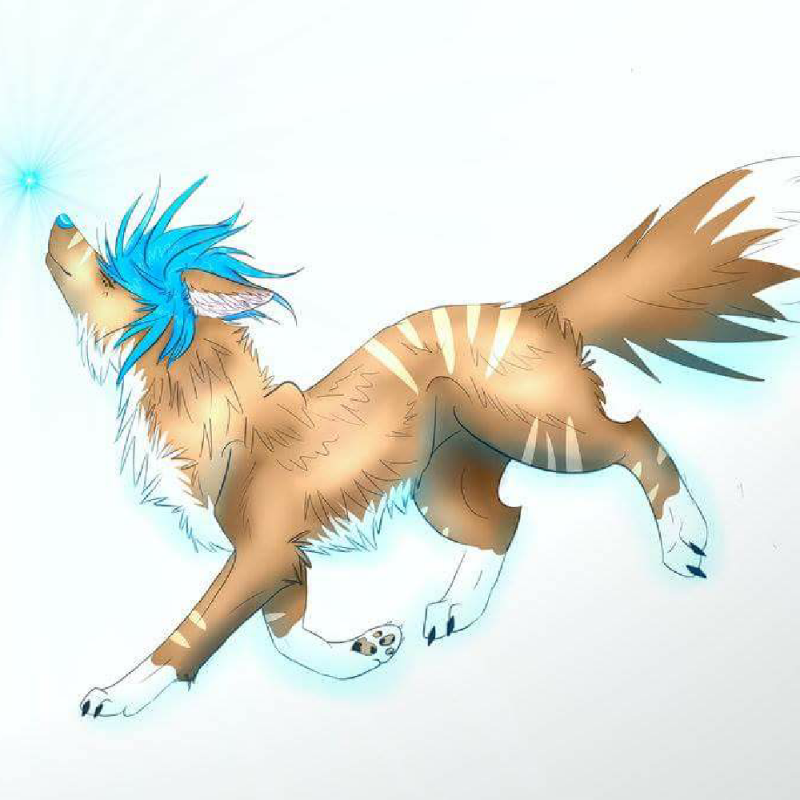 Wolf : Wolf 스케치판 ,sketchpan