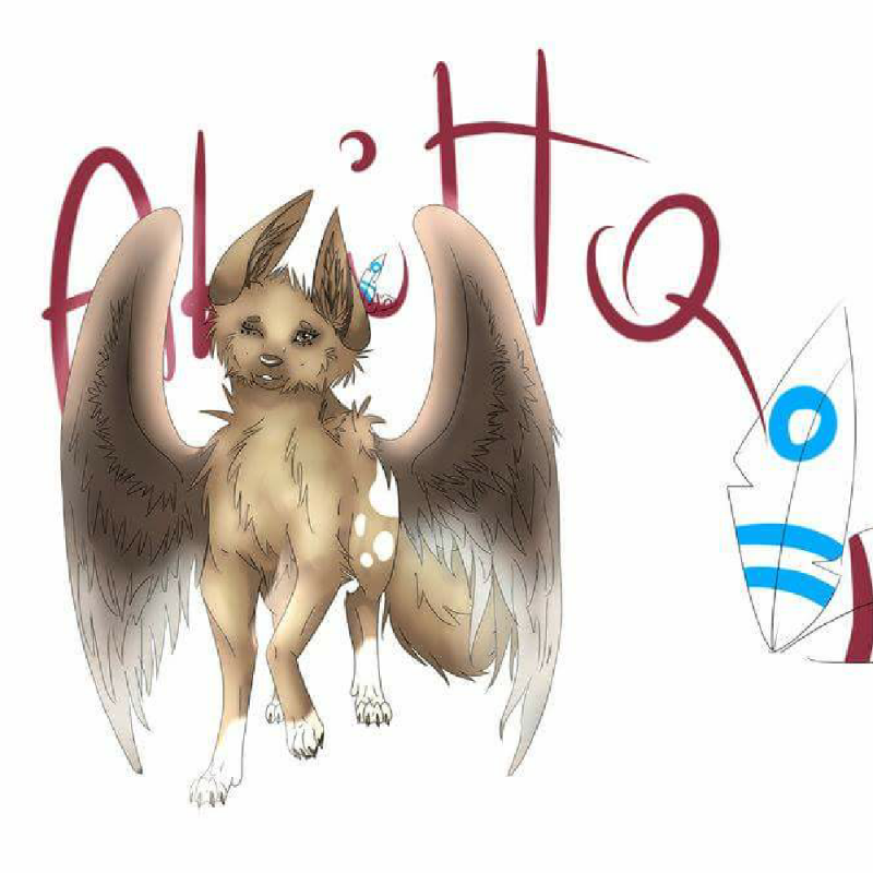 Akitta : Akitta 스케치판 ,sketchpan
