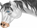 White Hors.. : White Horse 스케치판 ,sketchpan