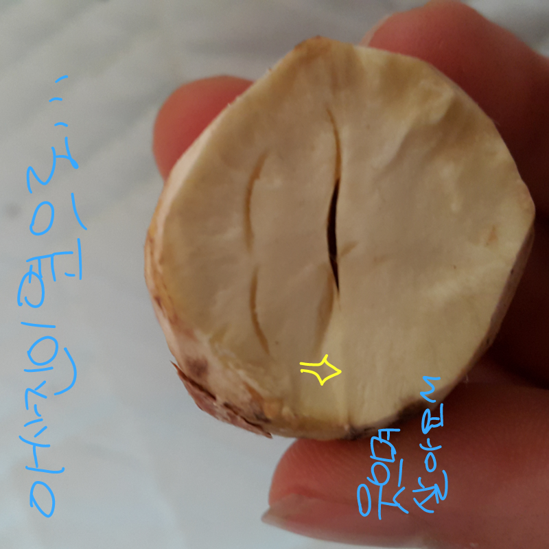 ㅎㅎㅎㅎㅎ.. : ㅎㅎㅎㅎㅎㅎㅎㅎ웃으며살아요 스케치판 ,sketchpan