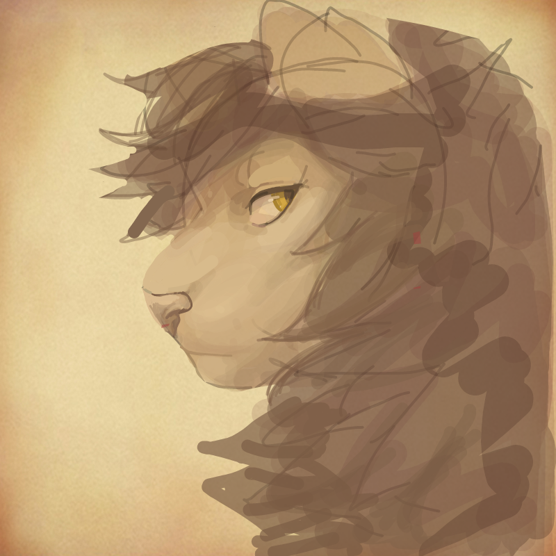 lion : lion 스케치판 ,sketchpan