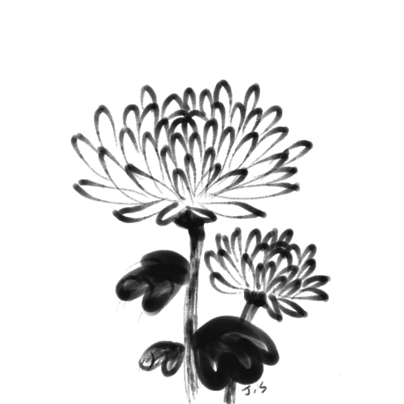 처음 : 처음 스케치판 ,sketchpan