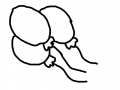 풍선(따라.. : 풍선(따라그리기) 스케치판 ,sketchpan