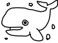 고래(따라.. : 고래(따라그리기) 스케치판 ,sketchpan
