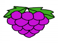 포도 : 포도 스케치판 ,sketchpan