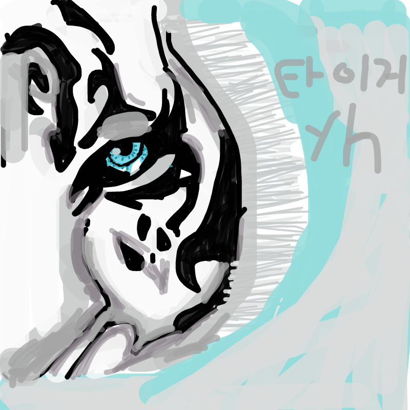 호랑이 : 호랑이 스케치판 ,sketchpan