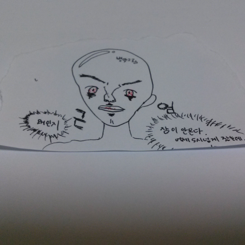 왜일까 : 왜일까 스케치판 ,sketchpan