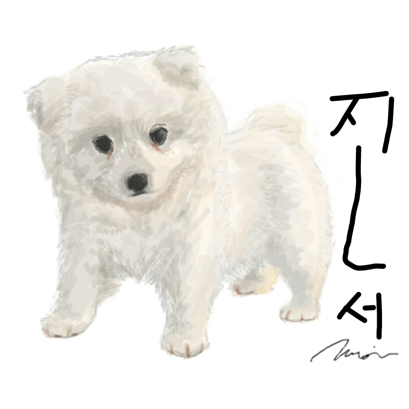 &nbsp; : &nbsp; 스케치판 ,sketchpan