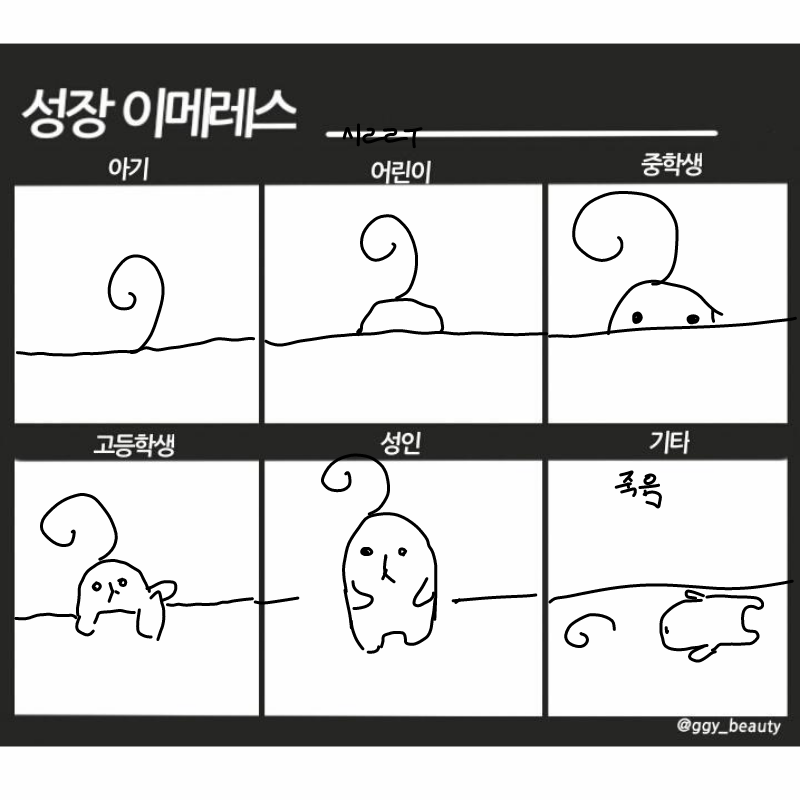 성장 : 성장 스케치판 ,sketchpan
