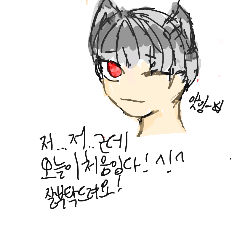 사실 오늘 .. : 사실 오늘 처음이라 잘 몰라요.. 펜은 5개 맞죠..? 이어그리기 설정은 또 어떻게 하는거죠...? (동공팝핀) 스케치판 ,sketchpan