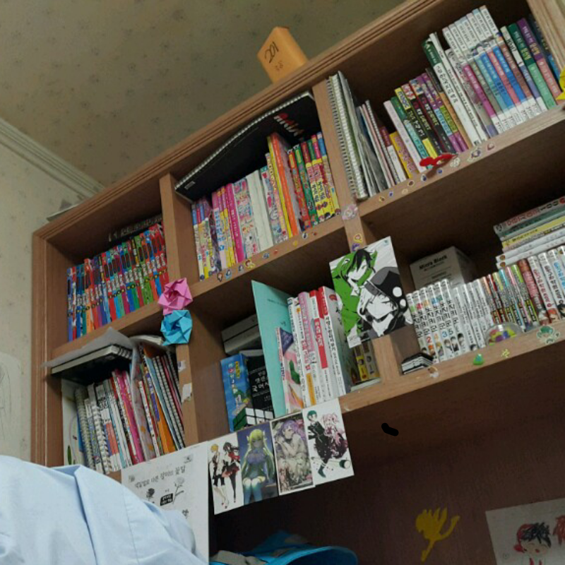 잡다한게 .. : 잡다한게 많다
(거의다 만화나 애니,게임잡지) 스케치판 ,sketchpan