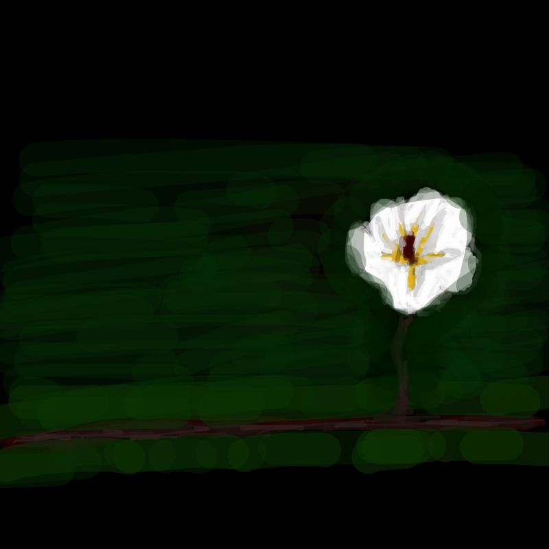   :   스케치판 ,sketchpan