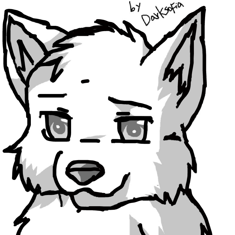 Cool wolf .. : Cool wolf drawing 스케치판 ,sketchpan