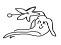 인삼 : 인삼 스케치판 ,sketchpan