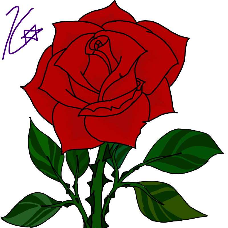 Red rose : Red rose 스케치판 ,sketchpan