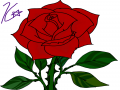 Red rose : Red rose 스케치판 ,sketchpan