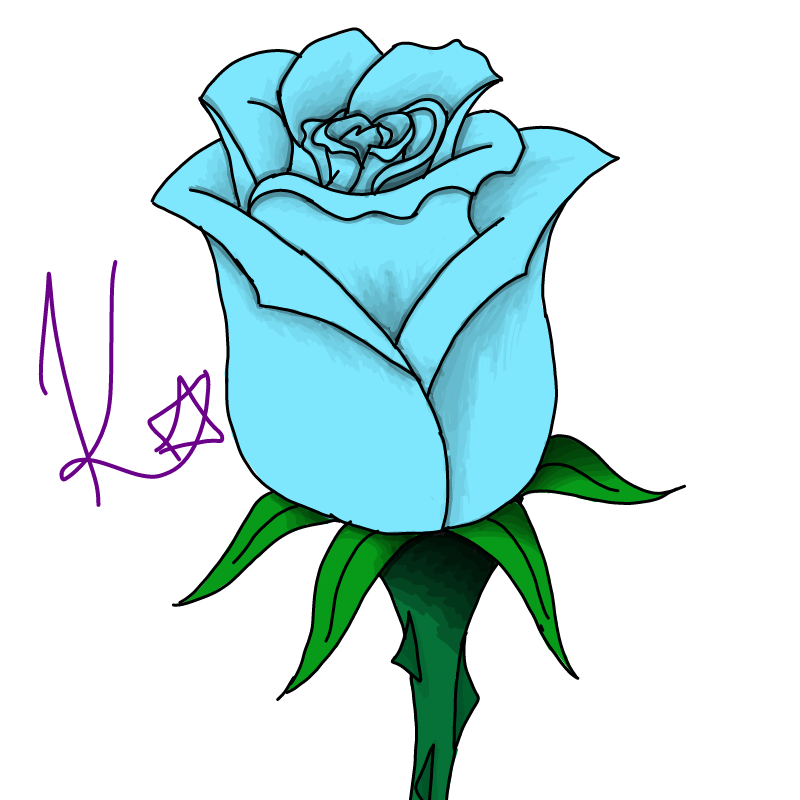 Blue Rose .. : Blue Rose Bud 스케치판 ,sketchpan