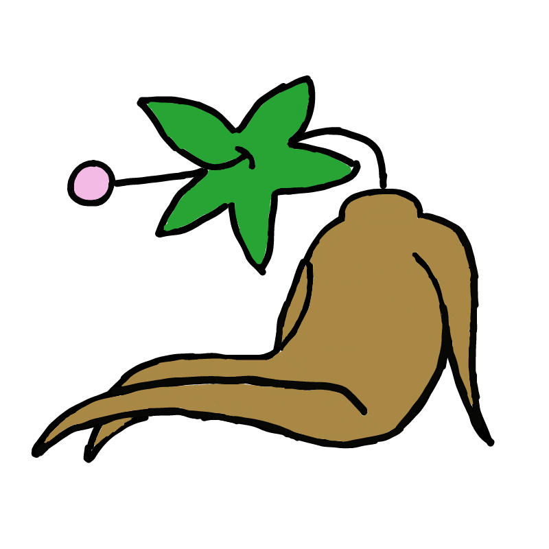 인삼(?) : 인삼(?) 스케치판 ,sketchpan