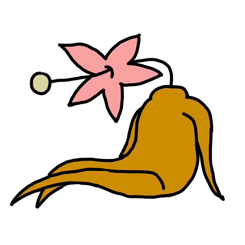 인삼 : 인삼 스케치판 ,sketchpan