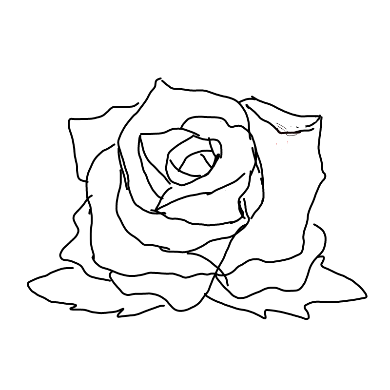 장미 : 장미 스케치판 ,sketchpan