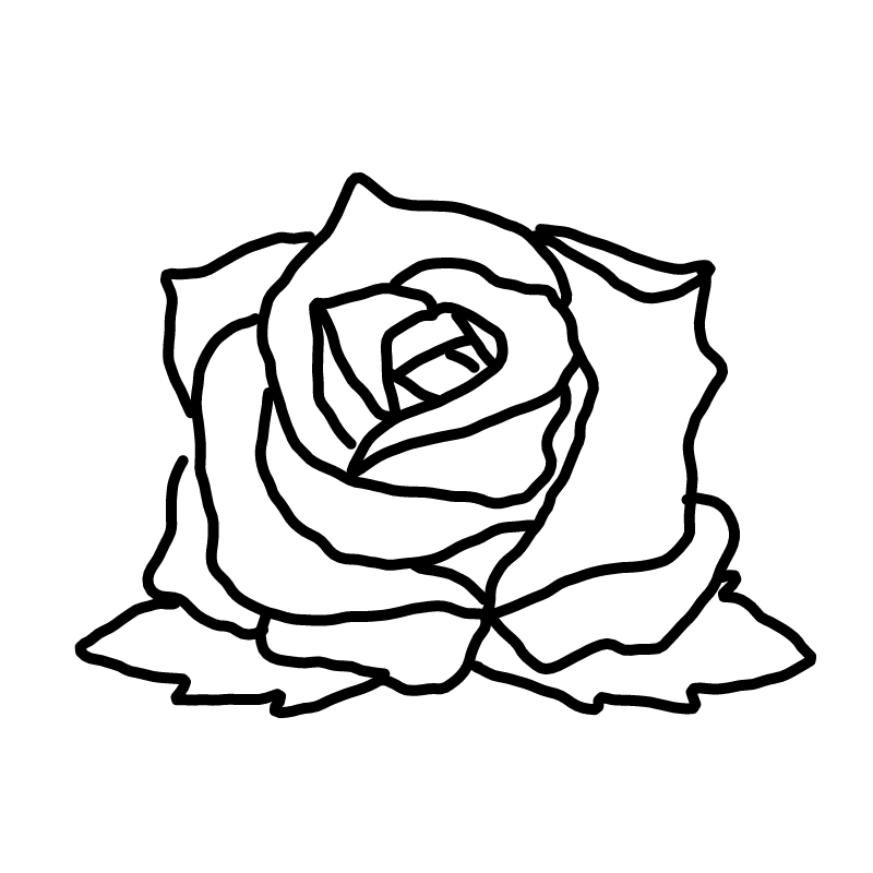 장미 : 장미 스케치판 ,sketchpan