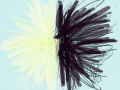 light&dark : light&dark 스케치판 ,sketchpan