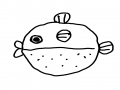 복어 : 복어 스케치판 ,sketchpan