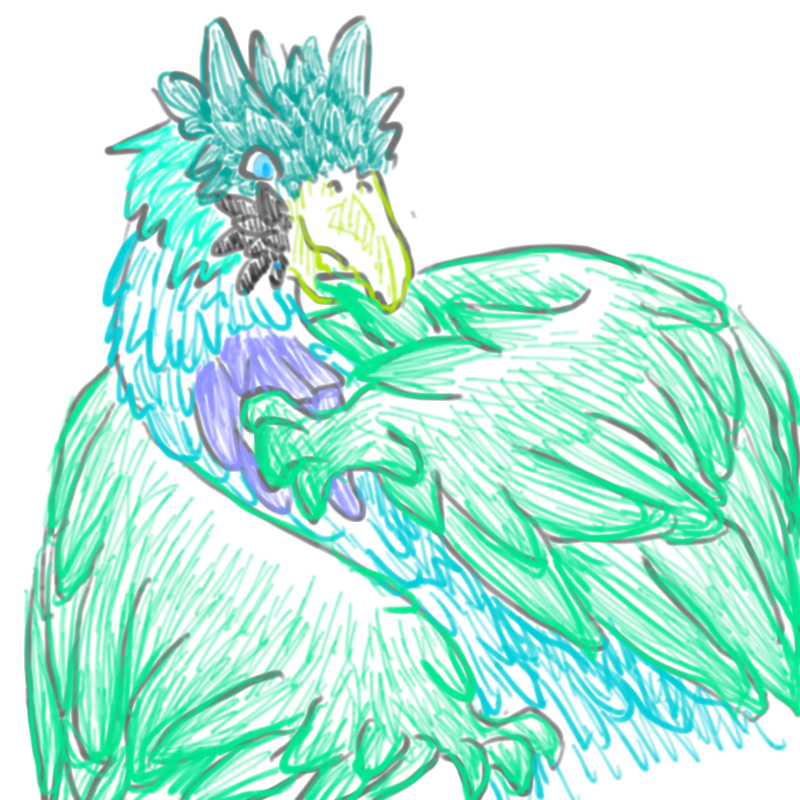 새? : 새? 스케치판 ,sketchpan