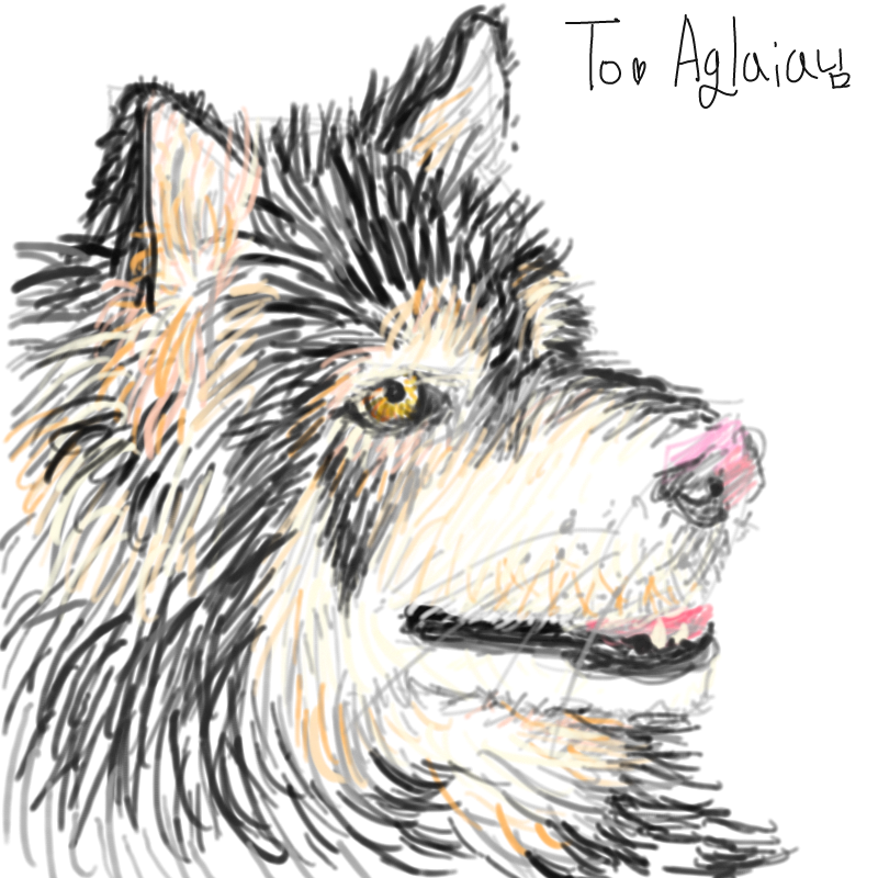 잘생... 아.. : 잘생... 아니 예쁜 강아지^^ 스케치판 ,sketchpan