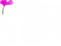  :   스케치판 ,sketchpan