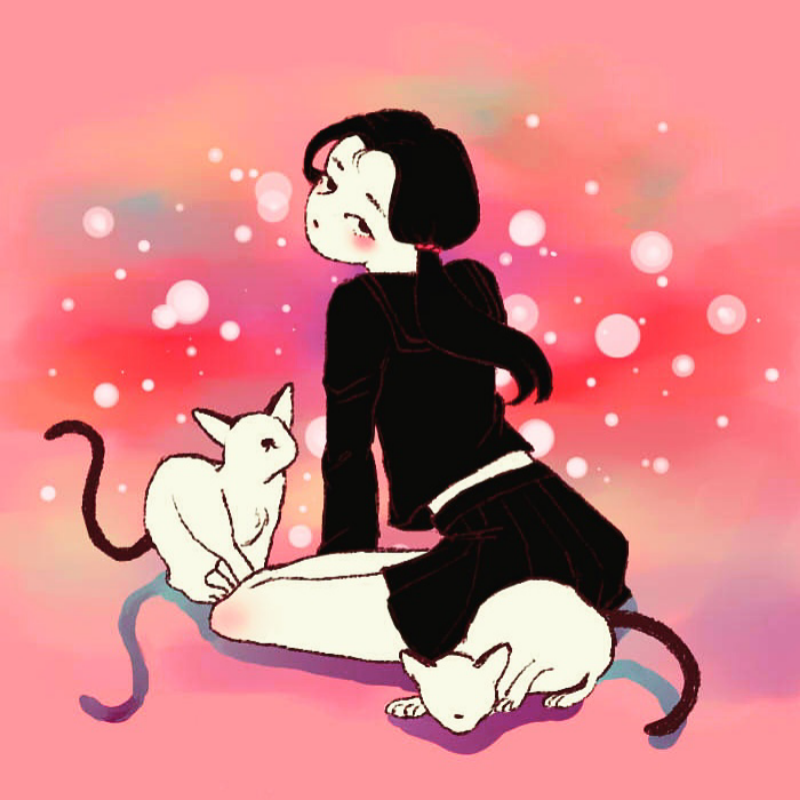 입시때문에.. : 입시때문에지웟던앱인데  다시깔앗어요! 반가워요여러분♡ 스케치판 ,sketchpan