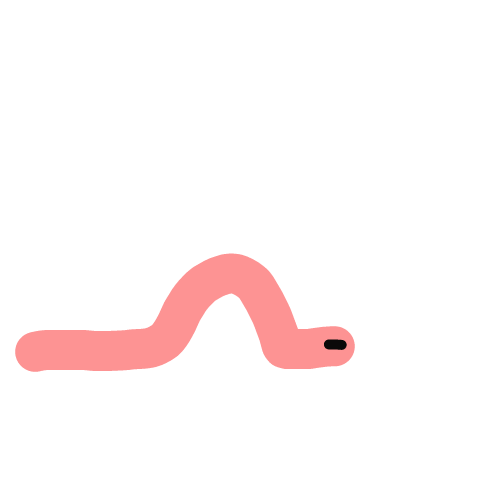 지렁이 : 지렁이 스케치판 ,sketchpan