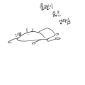   :   스케치판 ,sketchpan