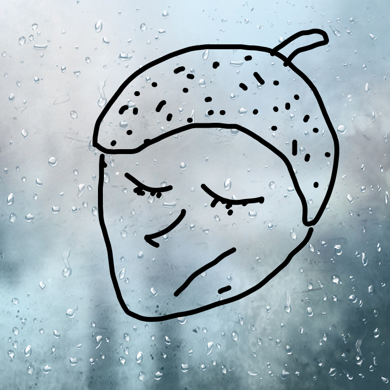 도토리인.. : 도토리인간 스케치판 ,sketchpan