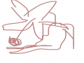   :   스케치판 ,sketchpan