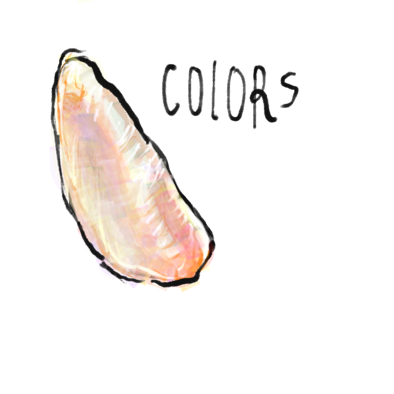 donno : donno 스케치판 ,sketchpan