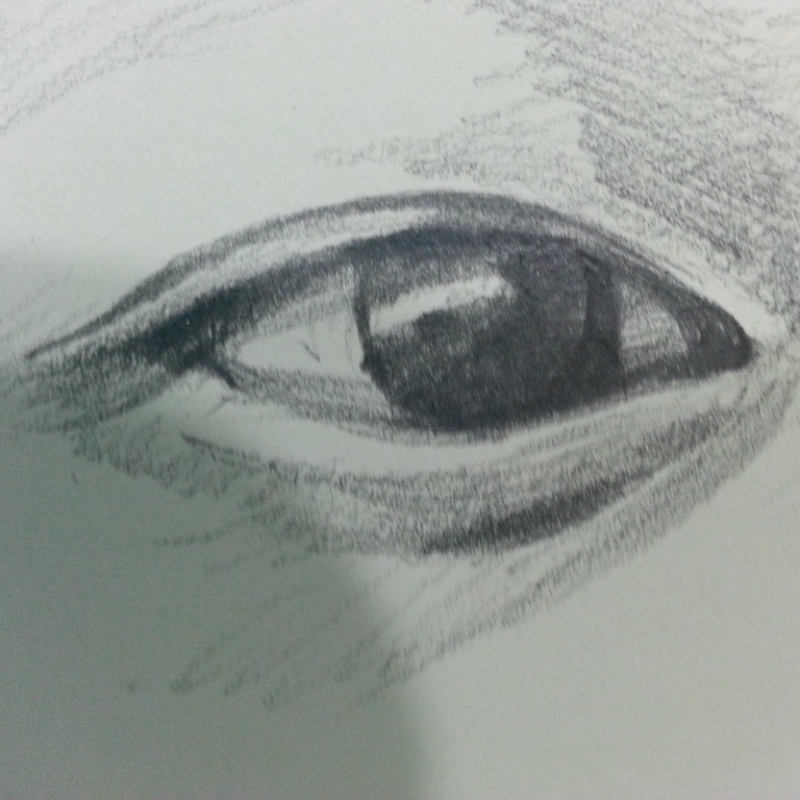 손그림으로.. : 손그림으로 이렇게 그리는건 오랜만이군여 눈그리는거 연습 많이해야 할듯;;사실 4학년때 미술학원 끊고나서부터 안그림ㅋㅋ 스케치판 ,sketchpan