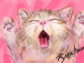 ;;;;; : ;;;;;;;;;;; 스케치판 ,sketchpan