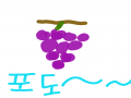 포도 : 포도 스케치판 ,sketchpan