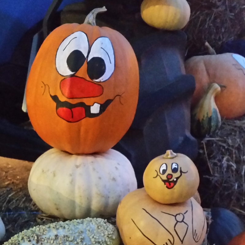 저녁 산책.. : 저녁 산책중 스케치판 ,sketchpan