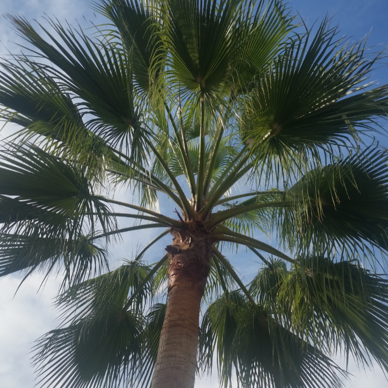 파란하늘.... : 파란하늘..기쁜마음 보냅니다...모두 화이팅^^ 스케치판 ,sketchpan