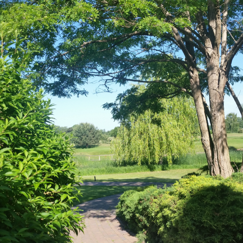 오늘 저녁.. : 오늘 저녁에 집에가서 천천히 그림구경하께요..이쁜그림 많이 그리세요... 스케치판 ,sketchpan