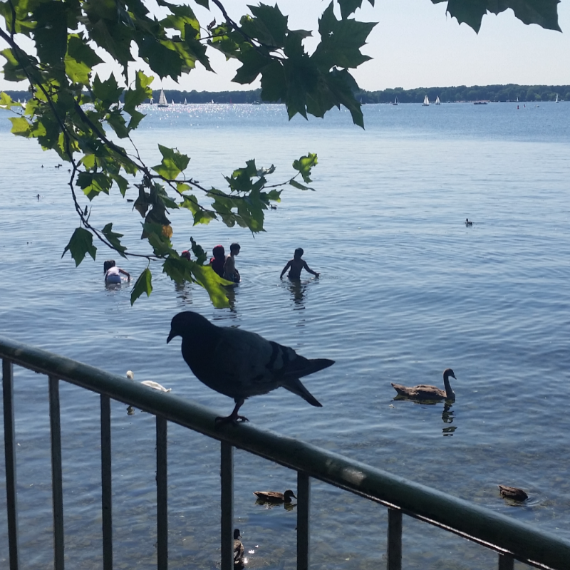 &nbsp; : &nbsp; 스케치판 ,sketchpan