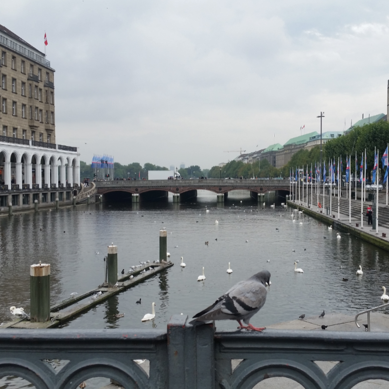 함브루크(.. : 함브루크(독일) alster.. 스케치판 ,sketchpan