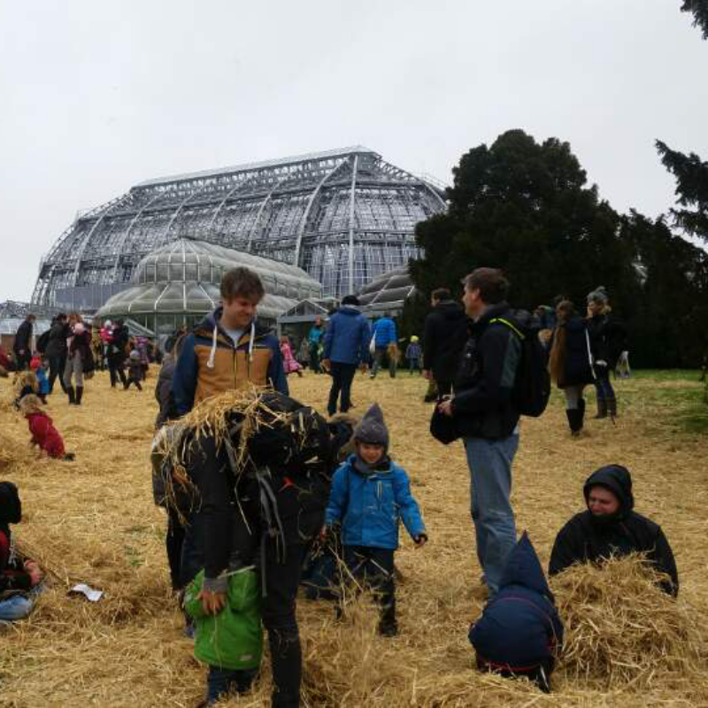 할로윈(독.. : 할로윈(독일) 가을♡♡♡ 오늘사진 스케치판 ,sketchpan