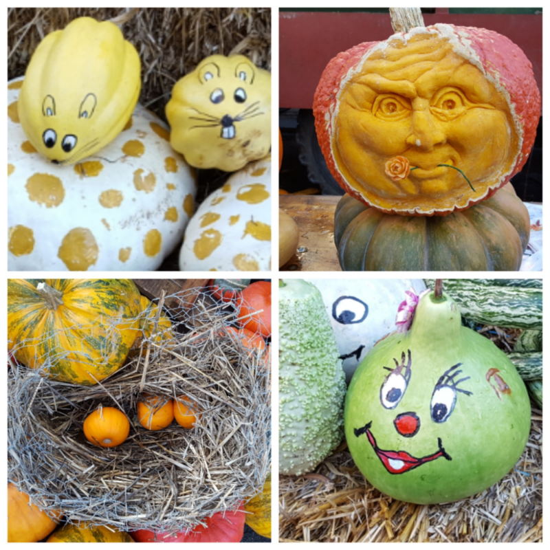 호박축제^.. : 호박축제^^ 스케치판 ,sketchpan