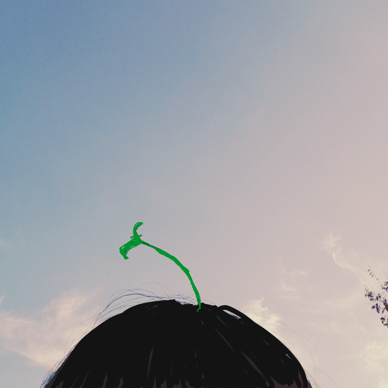 새싹 : 새싹 스케치판 ,sketchpan